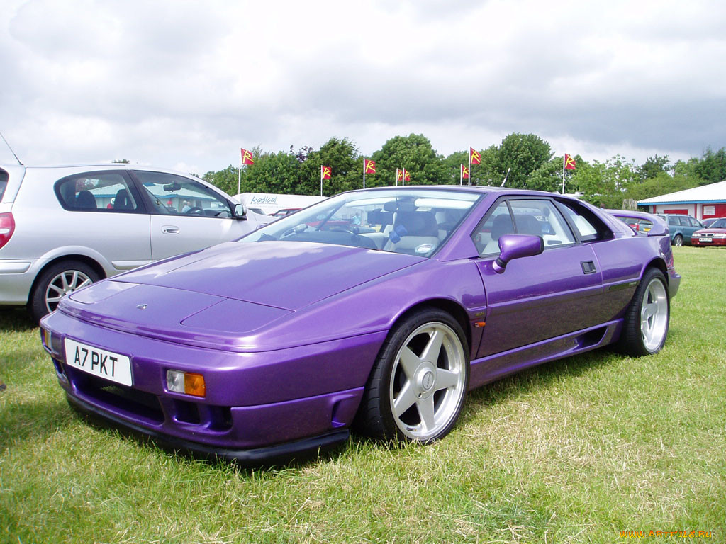 lotus, esprit, 